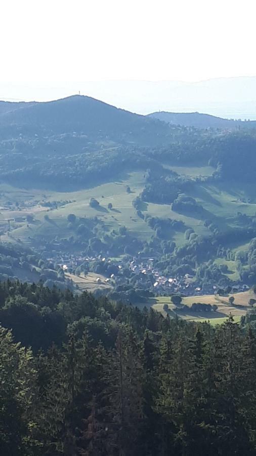 Les O Welches Cote Lac Orbey Exteriör bild