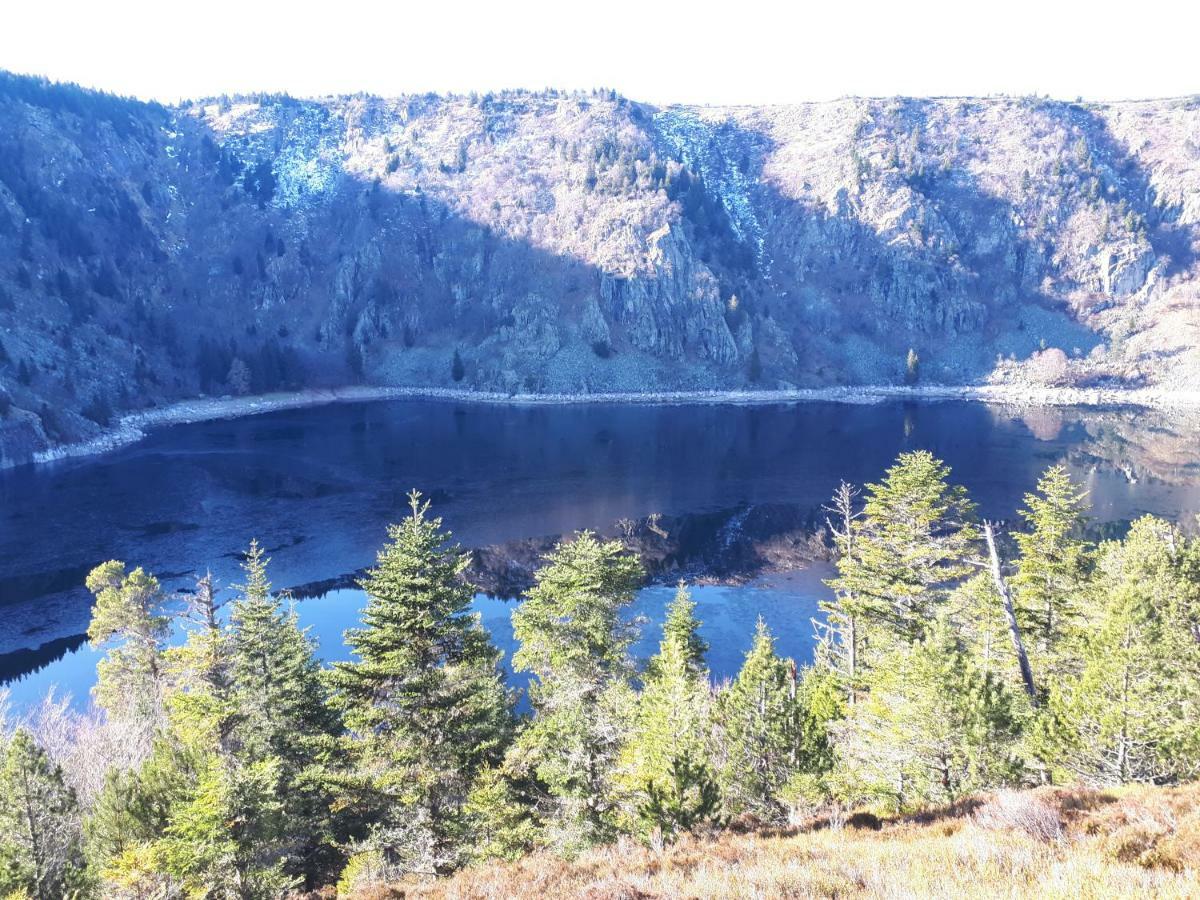 Les O Welches Cote Lac Orbey Exteriör bild