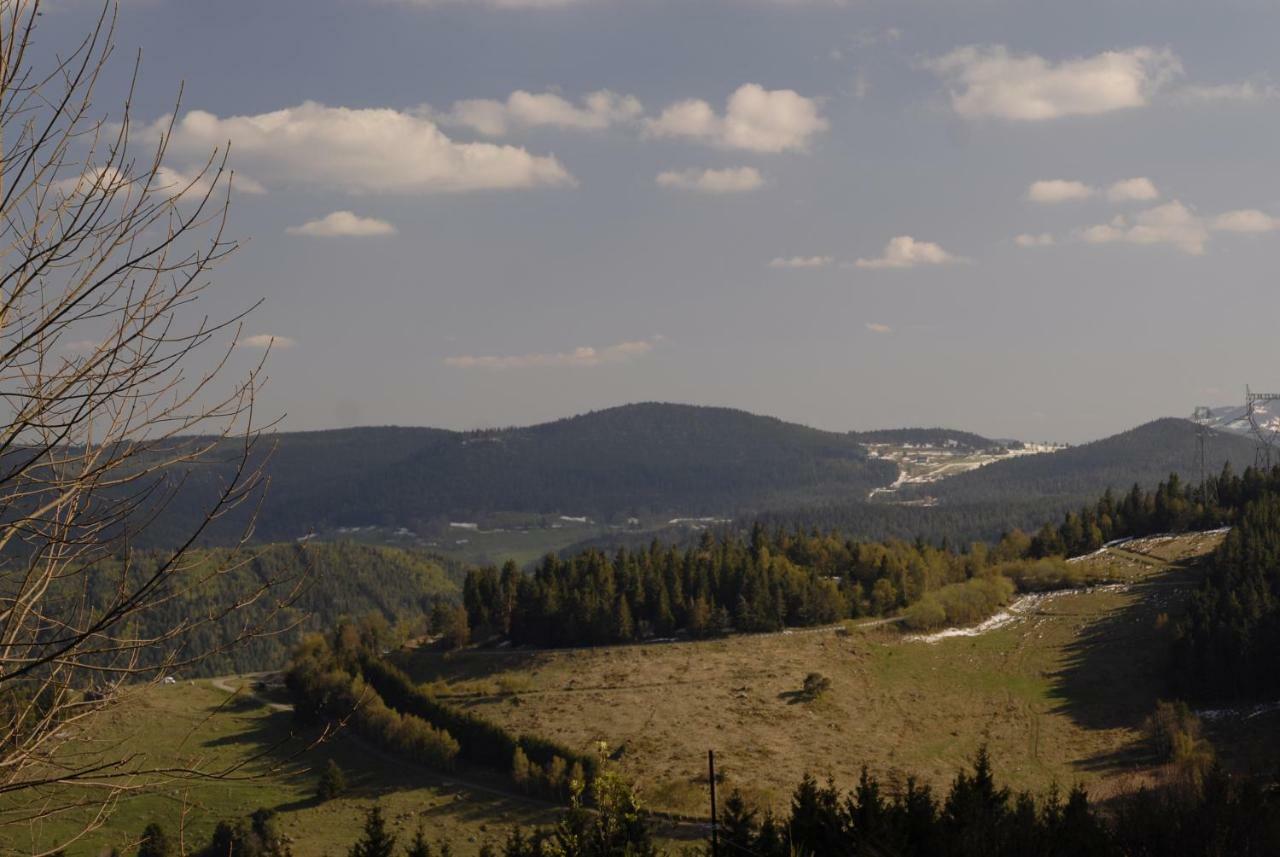 Les O Welches Cote Lac Orbey Exteriör bild